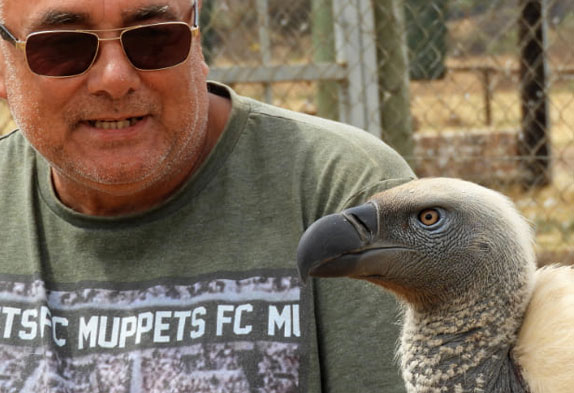 vulpro adopt a vulture