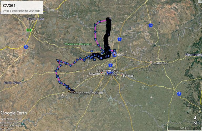 Movements of Vulture tag_361