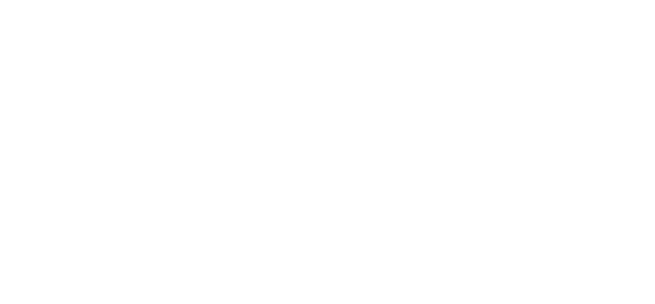 Vulpro